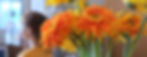 Mandarin Ginger Spa Main Banner